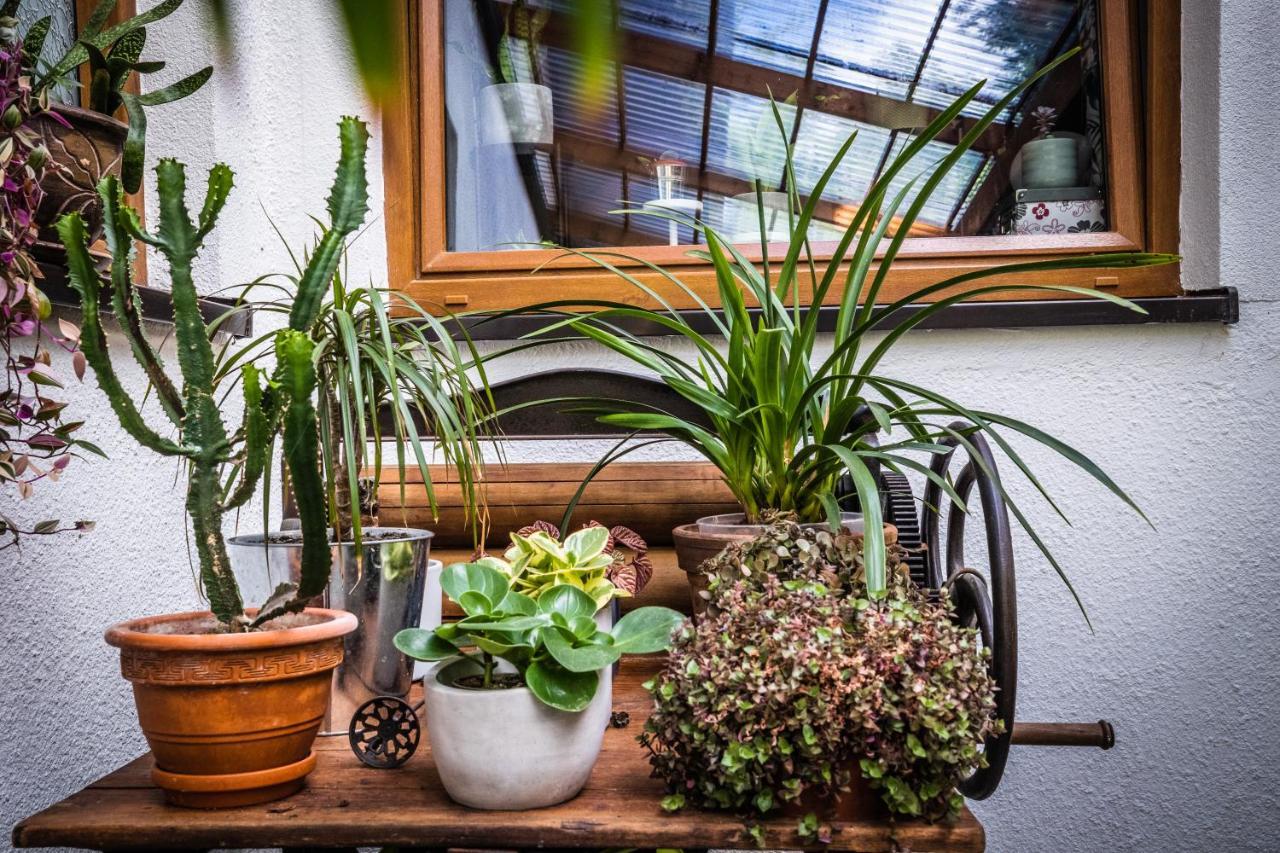 Trójka House Apartamento Szklarska Poręba Exterior foto